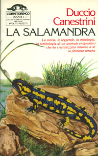 Salamandra beffarda...
